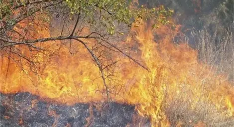 Над 41 дка сухи храсти и тон царевица изгоряха в пожари в Русенско
