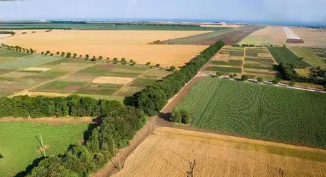 Предлагат на търгове над 8700 декара държавна земя Предлагат на търгове над 8700 декара държавна земя