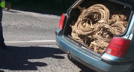 Банда за кражба на кабели влиза в съда Банда за кражба на кабели влиза в съда