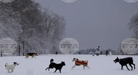 Снимка: БТА Снимка: БТА