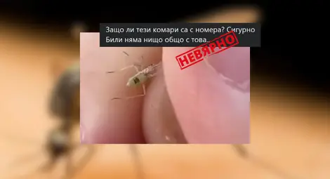 Не, това не е „комар със сериен номер“, нито е от ферма на Бил Гейтс Не, това не е „комар със сериен номер“, нито е от ферма на Бил Гейтс