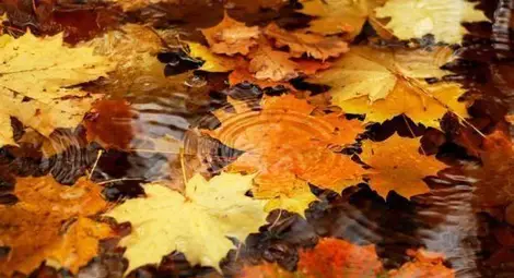 Слънце и дъжд се редуват през последната седмица на октомври