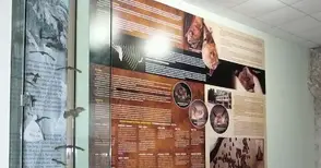 Русе се включва в Нощта на  прилепите с нова експозиция