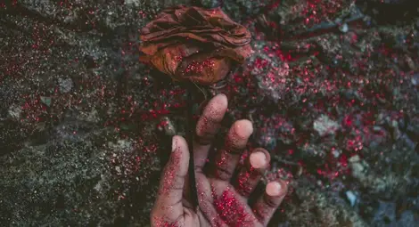 „Екологичните” алтернативи на погребенията стават все по-актуални в САЩ (снимка: CC0 Public Domain) „Екологичните” алтернативи на погребенията стават все по-актуални в САЩ (снимка: CC0 Public Domain)