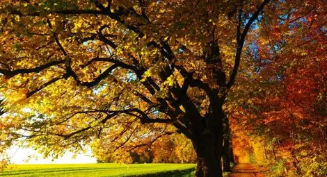 Топло и слънчево - до 23 градуса днес