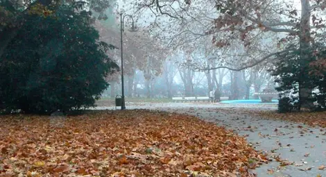 Сутрешни мъгли в равнините