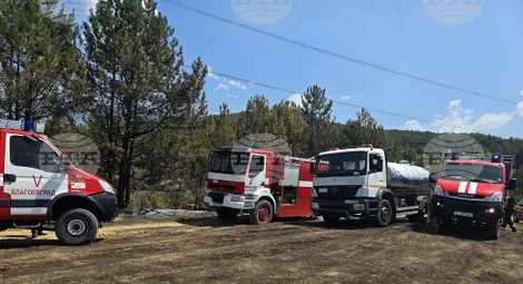 Снимка: БТА Снимка: БТА