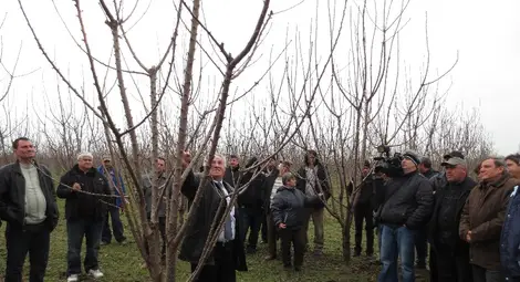 Прочут спец демонстрира чилийски  опит в резитбата на овошки
