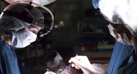 Родители спасиха четирима души, като дариха органите на сина си Родители спасиха четирима души, като дариха органите на сина си