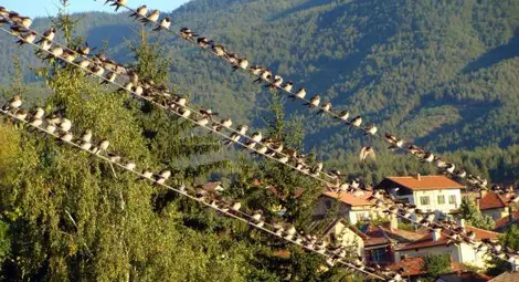 Лятото се връща, но не съвсем