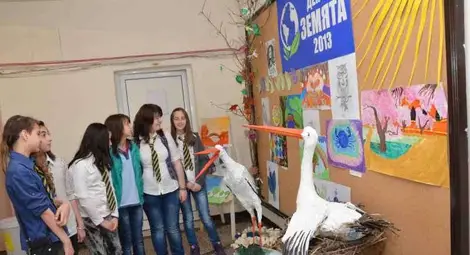 Двойка щъркели Марто и Апрелия посрещат учениците в Европейското