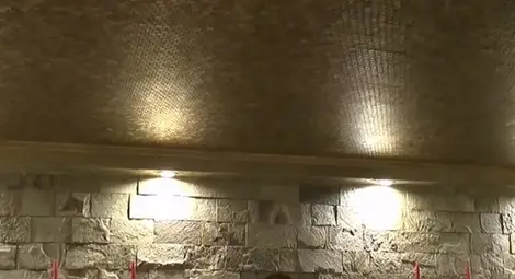 Семейство облицова тавана на всекидневната си с по 1 стотинка