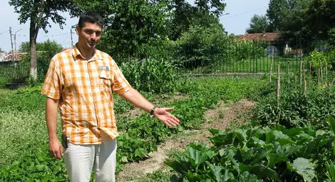 Бездомниците в приюта станаха градинари