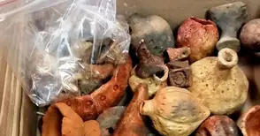 Старинно съкровище спасено от нелегален износ в Англия