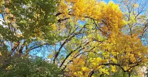 „Градски природен обектив“ търси най-добрите кадри от зелените зони на Русе и Гюргево