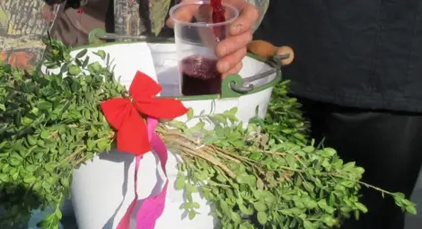 Германски учени сензационно: Кафето и тази билка убиват К-19