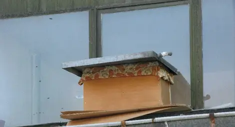 Скован сандък от плоскости с рой пчели изправи косите на жителите във вход А на блок на ул.&ldquo;Борисова&ldquo; 63.  Снимка:Красимир СТОЯНОВ