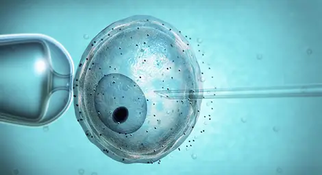 До края на септември приемат документи  за ин витро