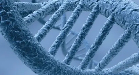 Откриха гена на щастието