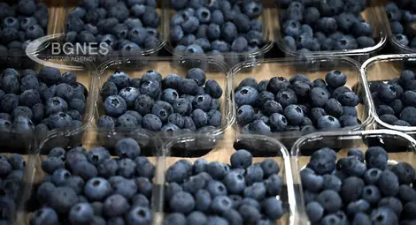 Боровинките намаляват риска от сърдечни проблеми