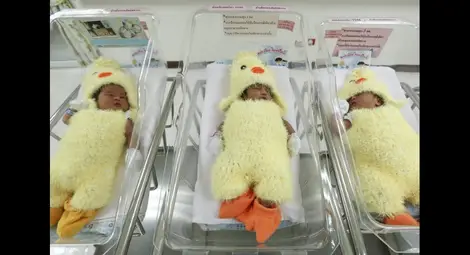 Болница облича новородените като пилета 
