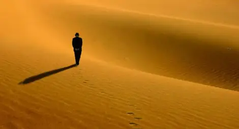 Учени от различни дисциплини предсказват скорошен Апокалипсис за човечеството