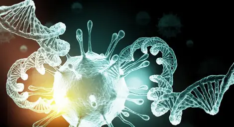 Колко време антителата ни предпазват от новите щамове на коронавируса