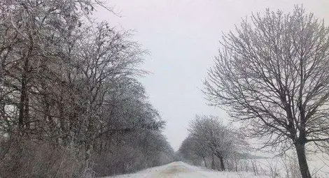 Пет сантиметрова снежна покривка се образува в Русенско