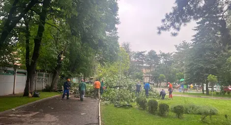 Нормализира се обстановката в Русенско след дъждовете от последното денонощие, няма щети по инфраструктурата, като и бедстващи хора