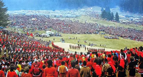 НАП: Търговци на събора в Рожен масово не издавали касови бележки