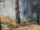 Около 40 декара в труднодостъпен терен край Петрич са били засегнати от низов горски пожар, няма материални щети