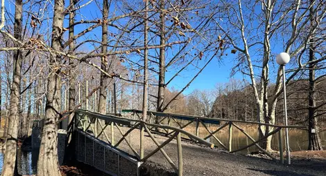 Кметът Пенчо Милков откри изградения пешеходен мост на езерото в Лесопарк „Липник“ Кметът Пенчо Милков откри изградения пешеходен мост на езерото в Лесопарк „Липник“