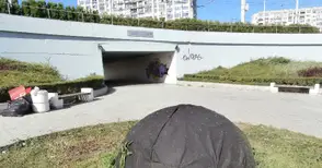 Загадка в Кръговото: Опаковани в стил Кристо храсти удивляват минувачите