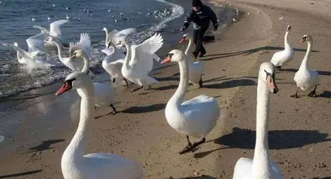 Изравнен температурен рекорд във Варна