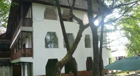 Елена Великова участва в пленер в къщата на великия Бранкуши