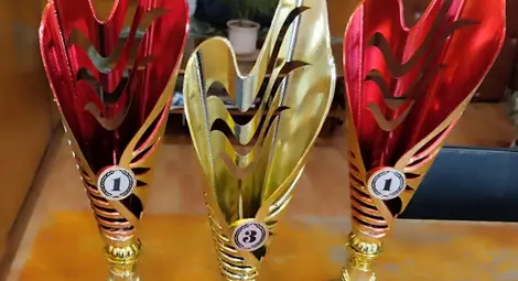 Русенските балерини на балетна школа „Инфанти“ се завърнаха с 46 медала от национален конкурс Русенските балерини на балетна школа „Инфанти“ се завърнаха с 46 медала от национален конкурс