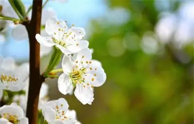 До 24 градуса през първия пролетен уикенд