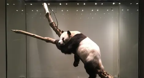 От серия &bdquo;Вакуум&ldquo;.