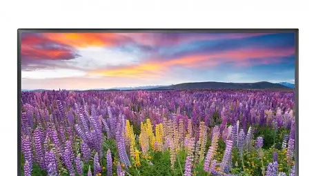 &bdquo;Нетуоркс&ldquo; пуска още пет 4К HD канала