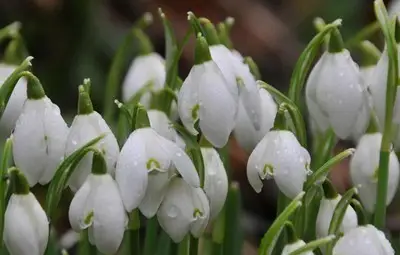 През нощта валежите спират, утре времето ще е слънчево