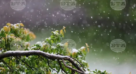 Снимка: БТА