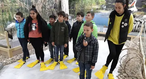 Русенските музейни педагози Магдалена Трифонова и Виктория Друмева ще се включат в Първата национална среща на музейните педагози