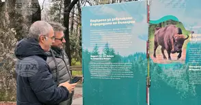 Изложбата „Уязвимите” в Пловдив представя редки и защитени животински видове