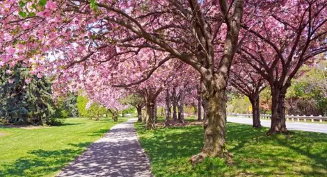 Необичайно високи температури в събота Необичайно високи температури в събота