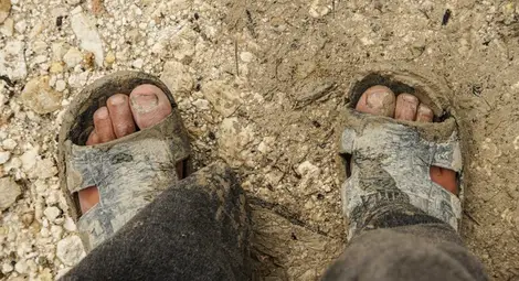 Хванаха крадец по миризмата на краката