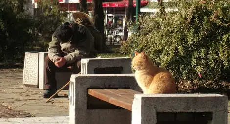 Да живееш на улицата не е красиво Да живееш на улицата не е красиво