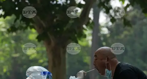 Снимка: БТА