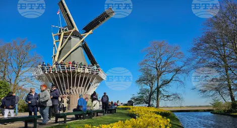 Снимка: БТА