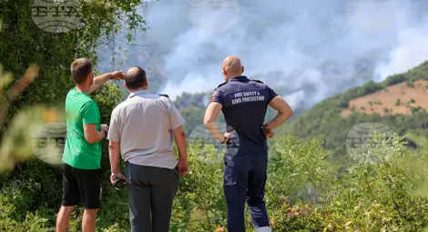 Снимка: БТА