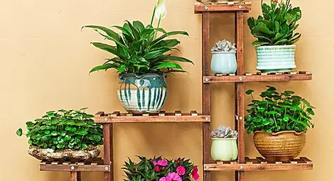 Външни саксии за цветя - подарете красота на дома си